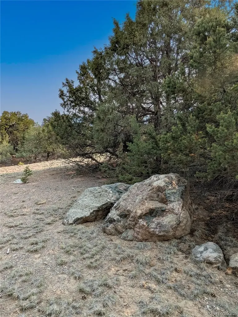 1704 Willow Creek Way Crestone CO 81131