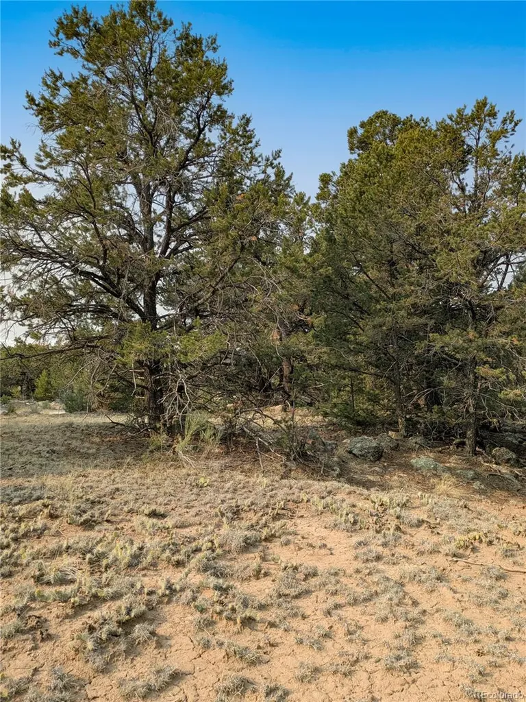 1704 Willow Creek Way Crestone CO 81131