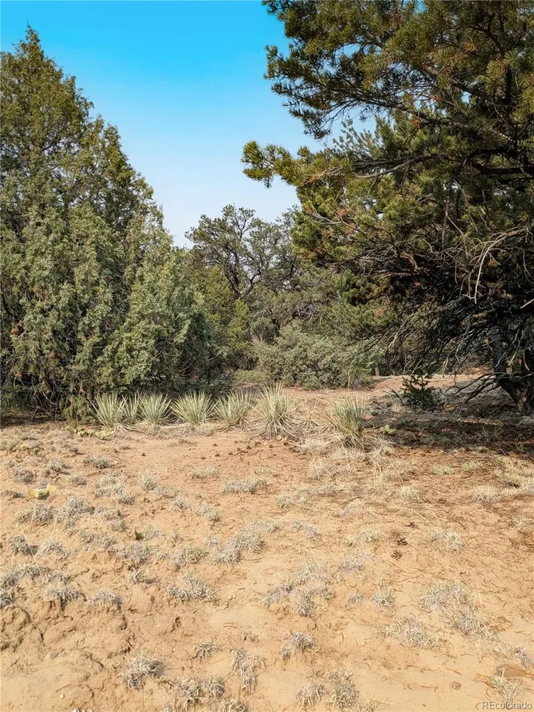 1704 Willow Creek Way Crestone CO 81131
