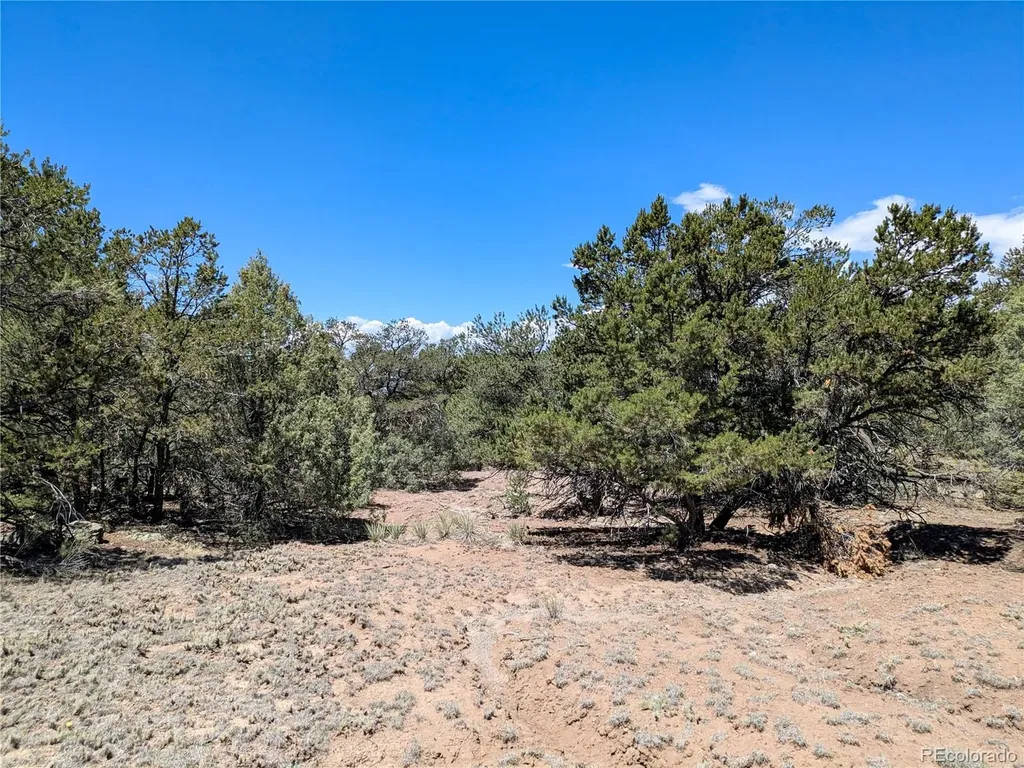 1704 Willow Creek Way Crestone CO 81131