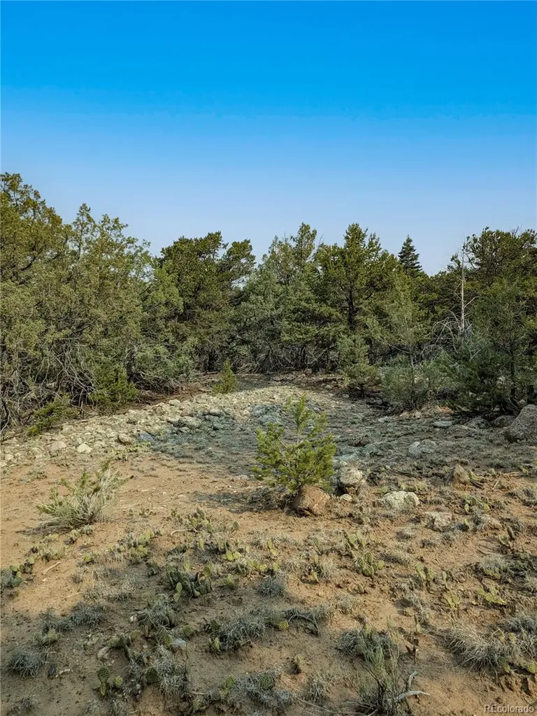 1704 Willow Creek Way Crestone CO 81131