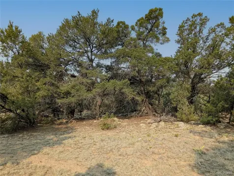 1704 Willow Creek Way Crestone CO 81131