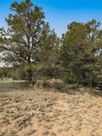 1704 Willow Creek Way Crestone CO 81131
