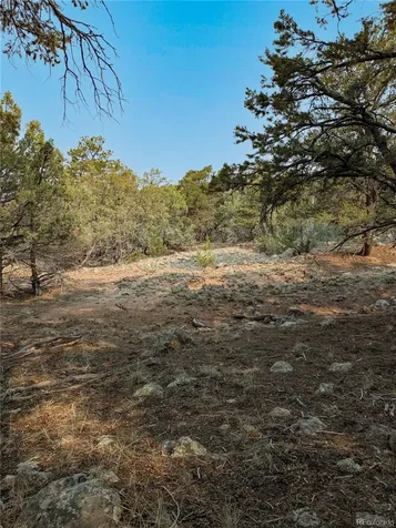 1704 Willow Creek Way Crestone CO 81131