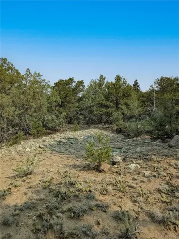 1704 Willow Creek Way Crestone CO 81131