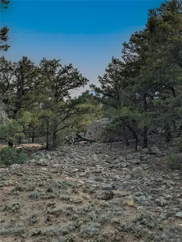 1704 Willow Creek Way Crestone CO 81131
