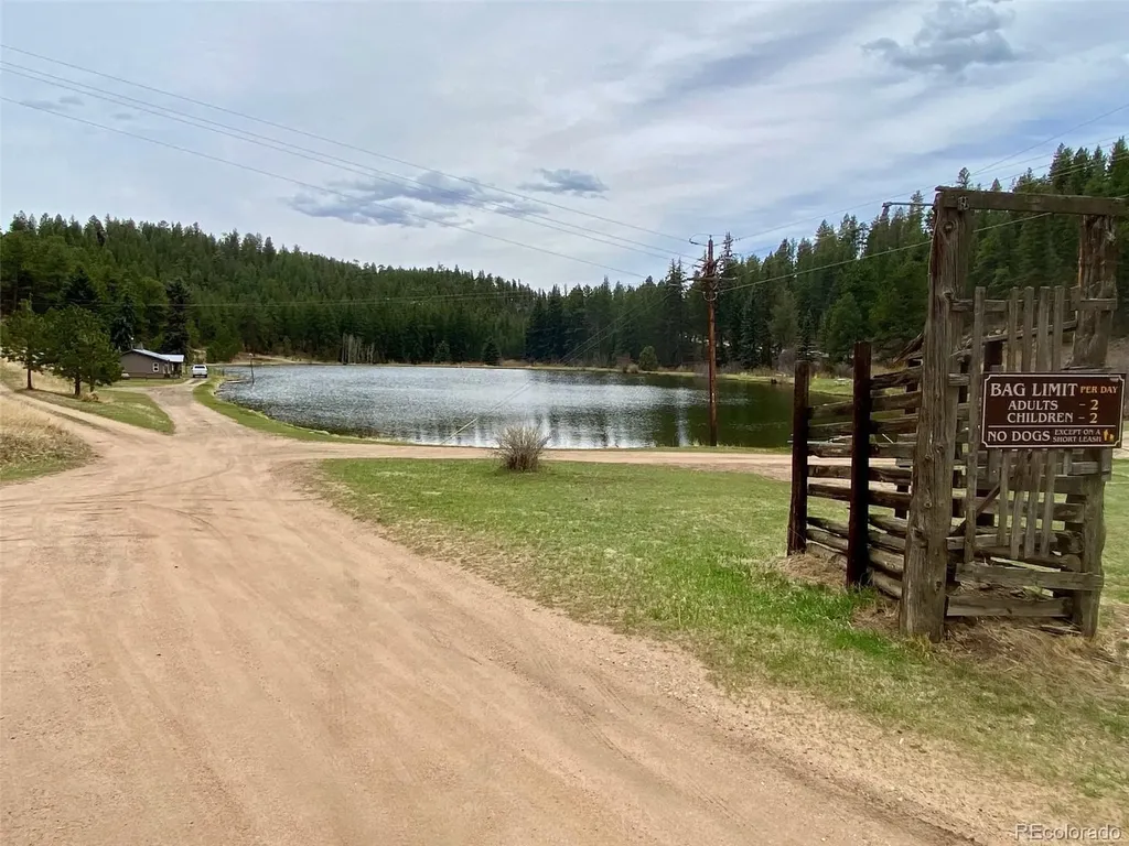 174 Chickadee Drive Bailey CO 80421