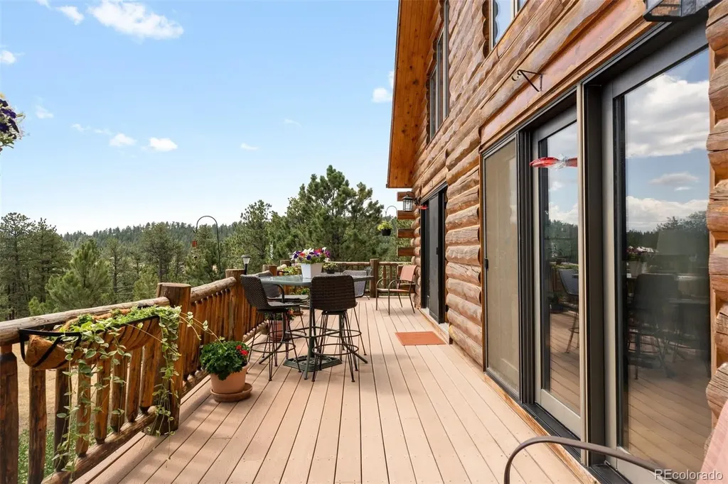 286 Heron Court Bailey CO 80421