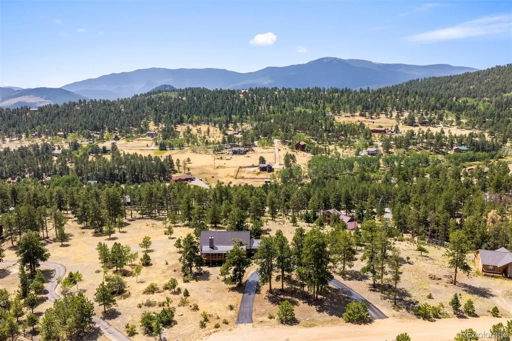 286 Heron Court Bailey CO 80421