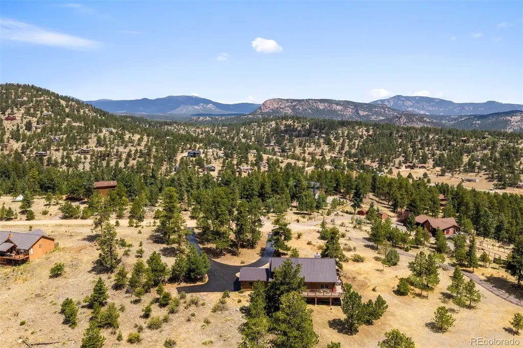 286 Heron Court Bailey CO 80421