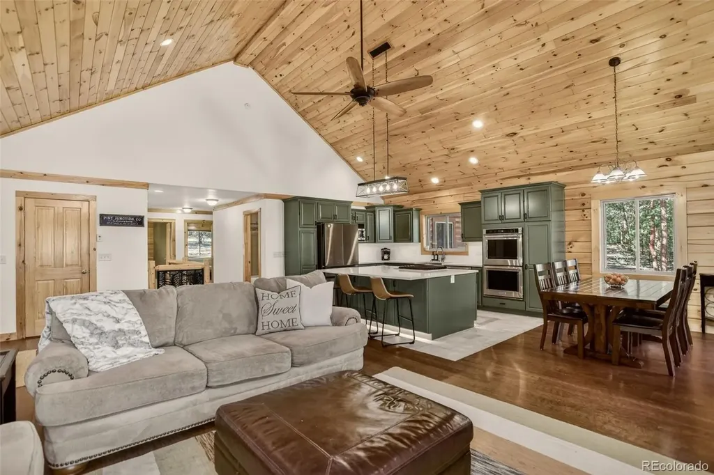 66 Territory Drive Pine CO 80470