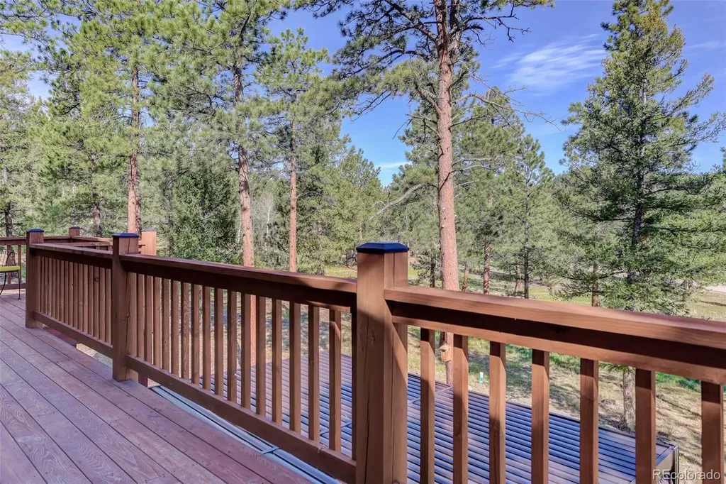 66 Territory Drive Pine CO 80470