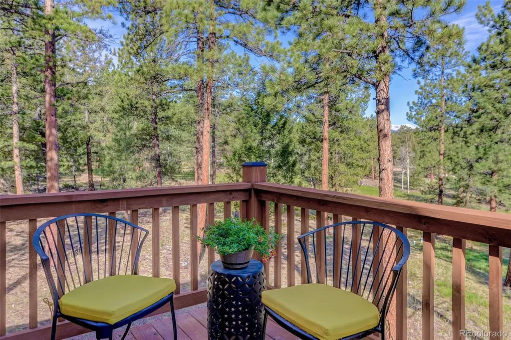 66 Territory Drive Pine CO 80470