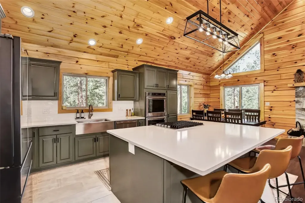 66 Territory Drive Pine CO 80470