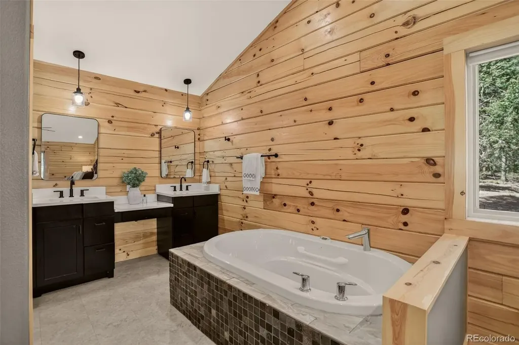 66 Territory Drive Pine CO 80470