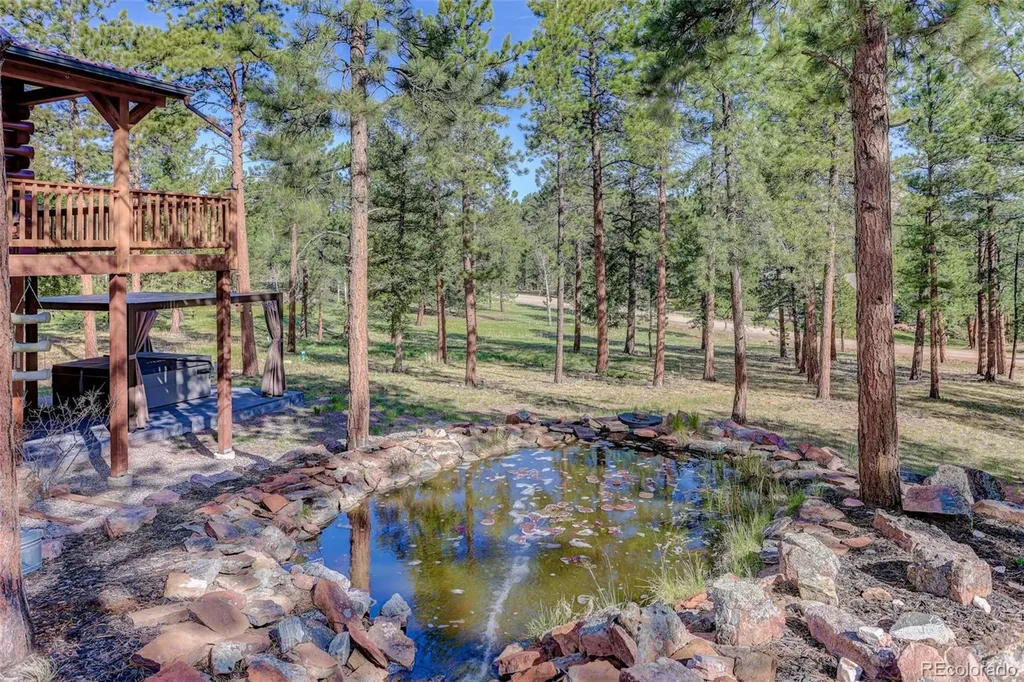 66 Territory Drive Pine CO 80470