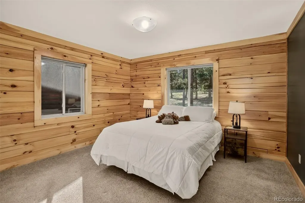 66 Territory Drive Pine CO 80470