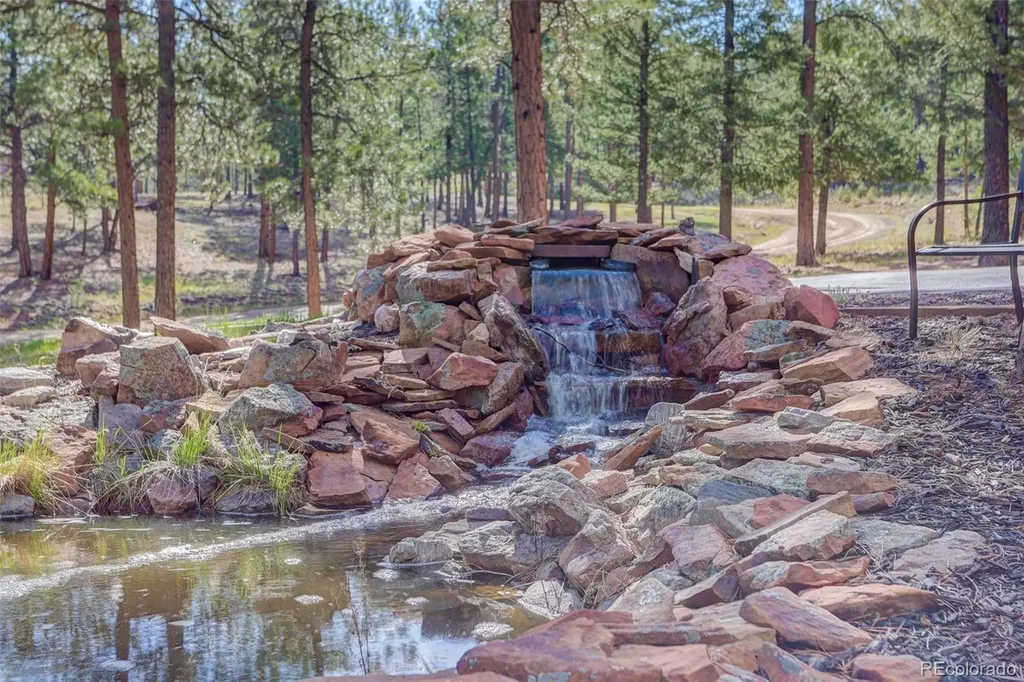 66 Territory Drive Pine CO 80470