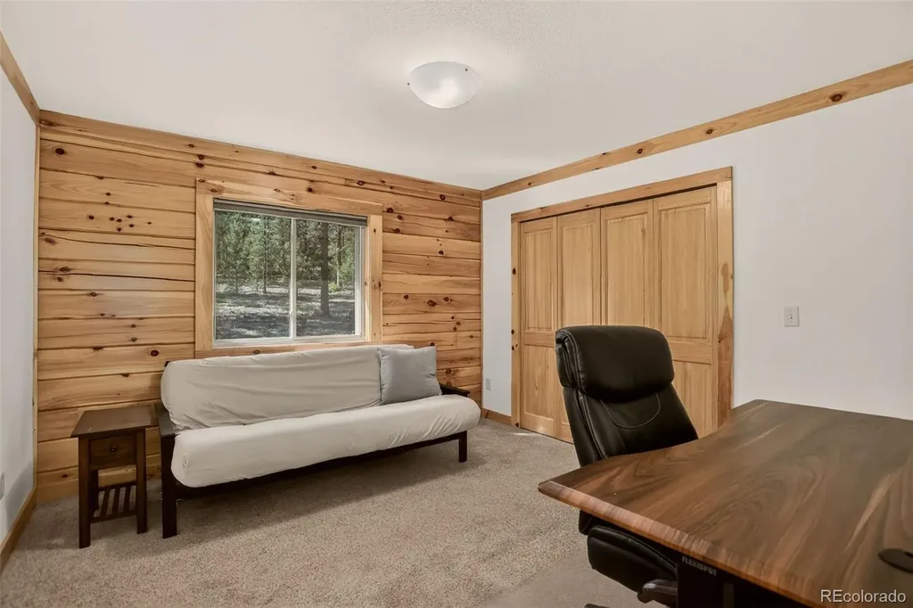 66 Territory Drive Pine CO 80470