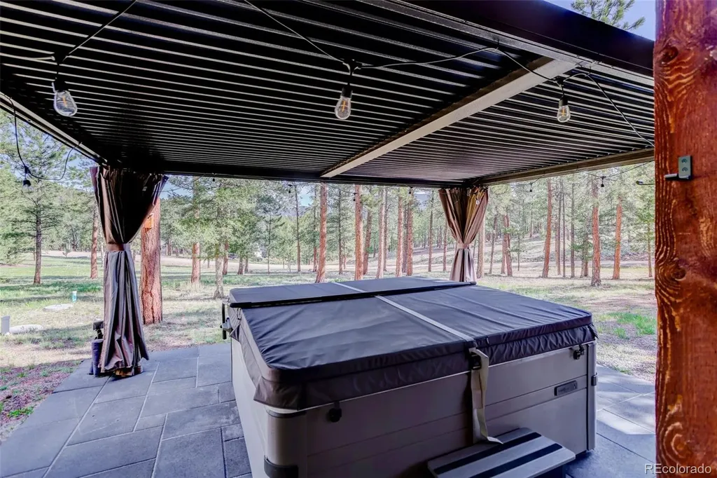 66 Territory Drive Pine CO 80470