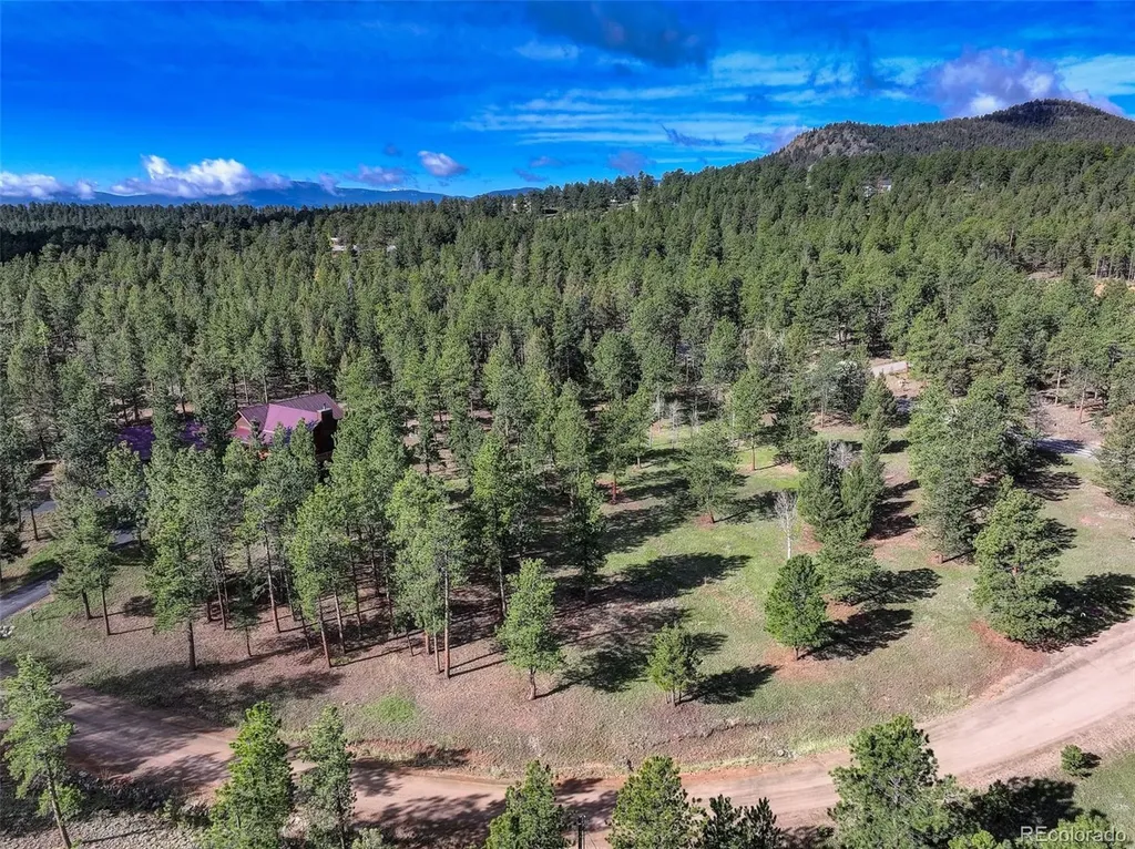 66 Territory Drive Pine CO 80470