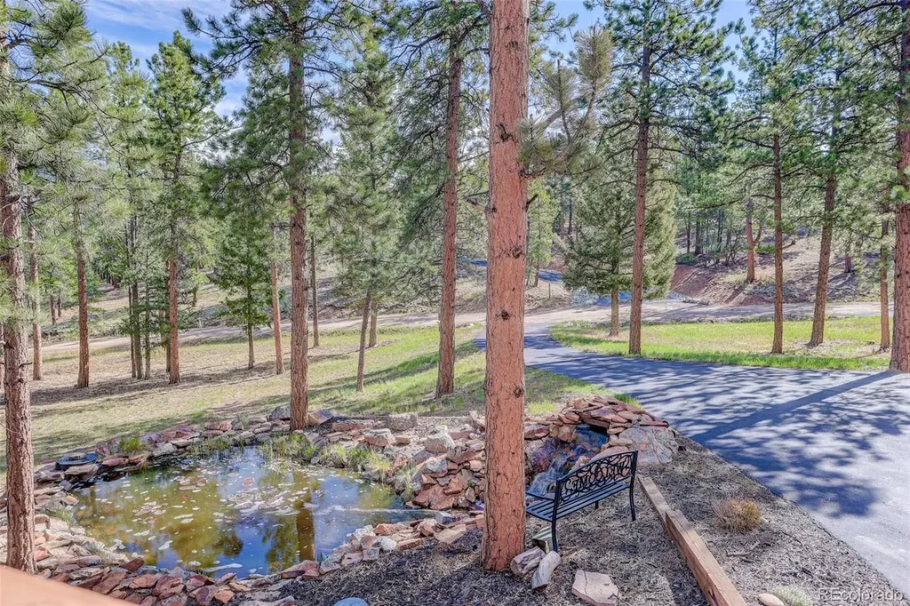 66 Territory Drive Pine CO 80470