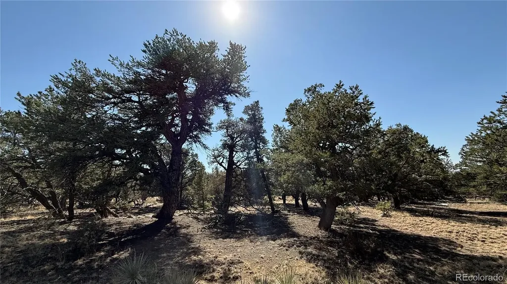 1872 Rockyview Way Crestone CO 81131