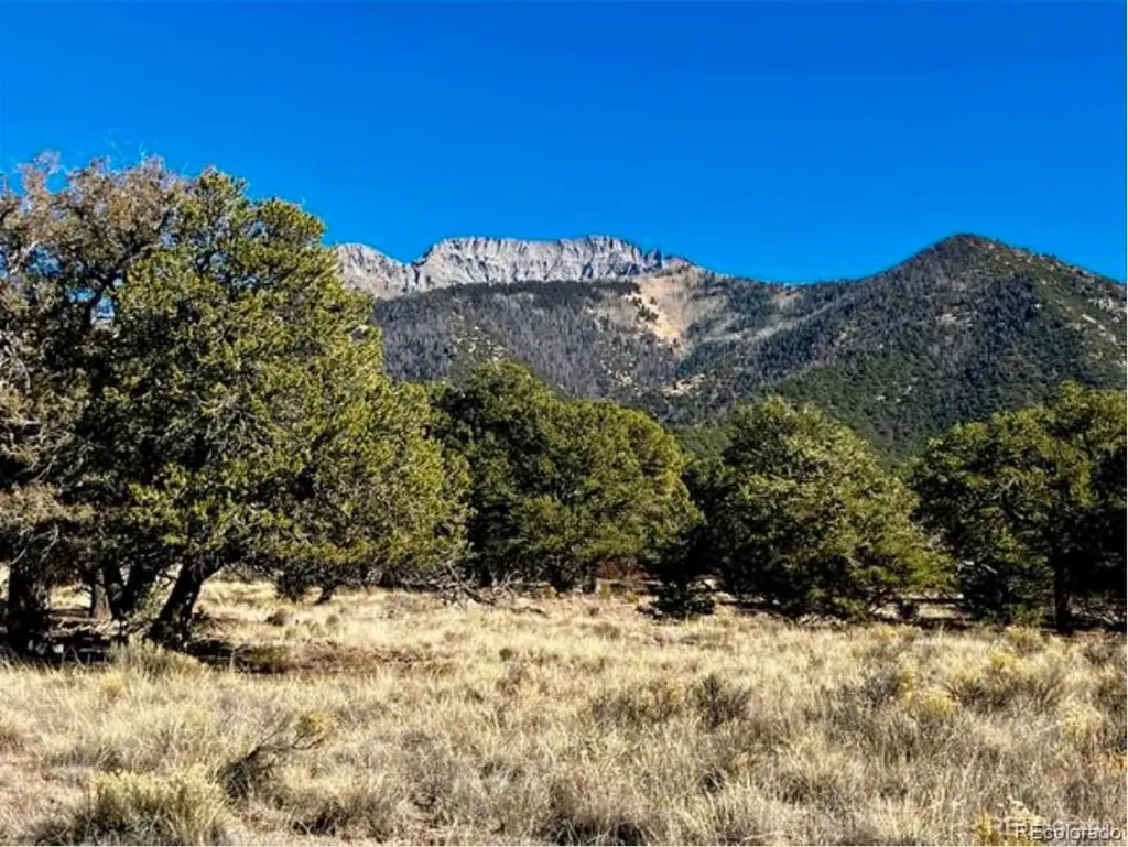 1872 Rockyview Way Crestone CO 81131