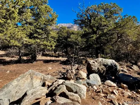 1872 Rockyview Way Crestone CO 81131