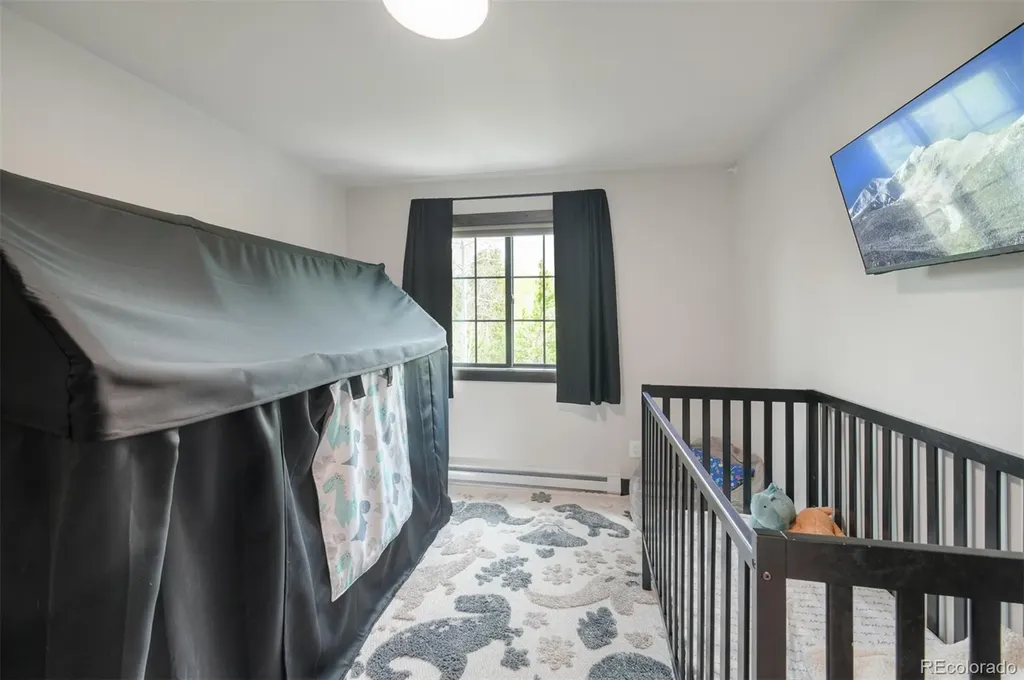 306 S Golden Eagle Drive Silverthorne CO 80498