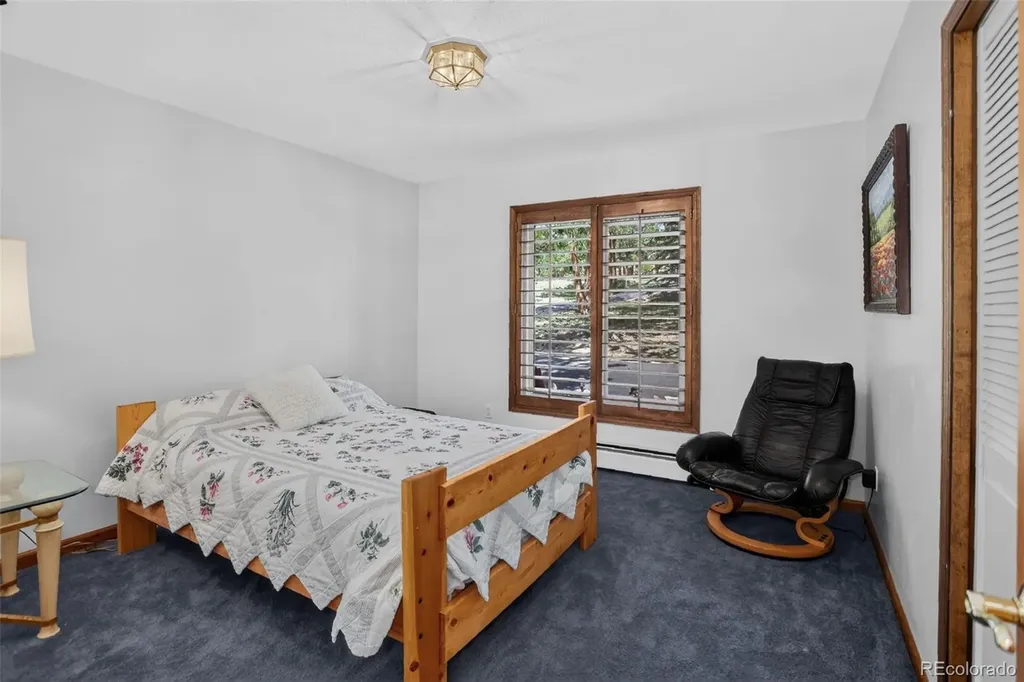 2838 Olympia Circle Evergreen CO 80439