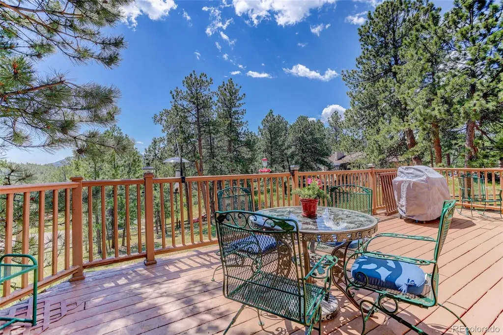 2838 Olympia Circle Evergreen CO 80439