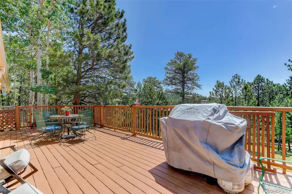 2838 Olympia Circle Evergreen CO 80439