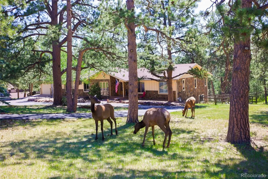 2838 Olympia Circle Evergreen CO 80439