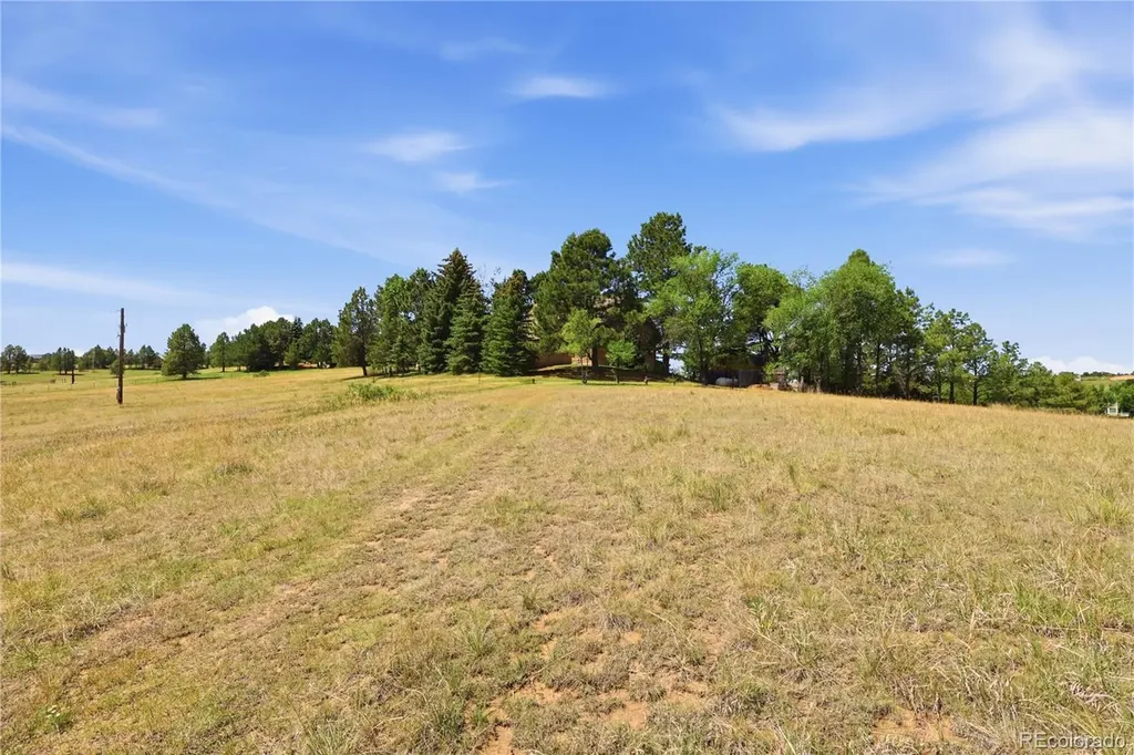 607 Meadow Station Circle Parker CO 80138