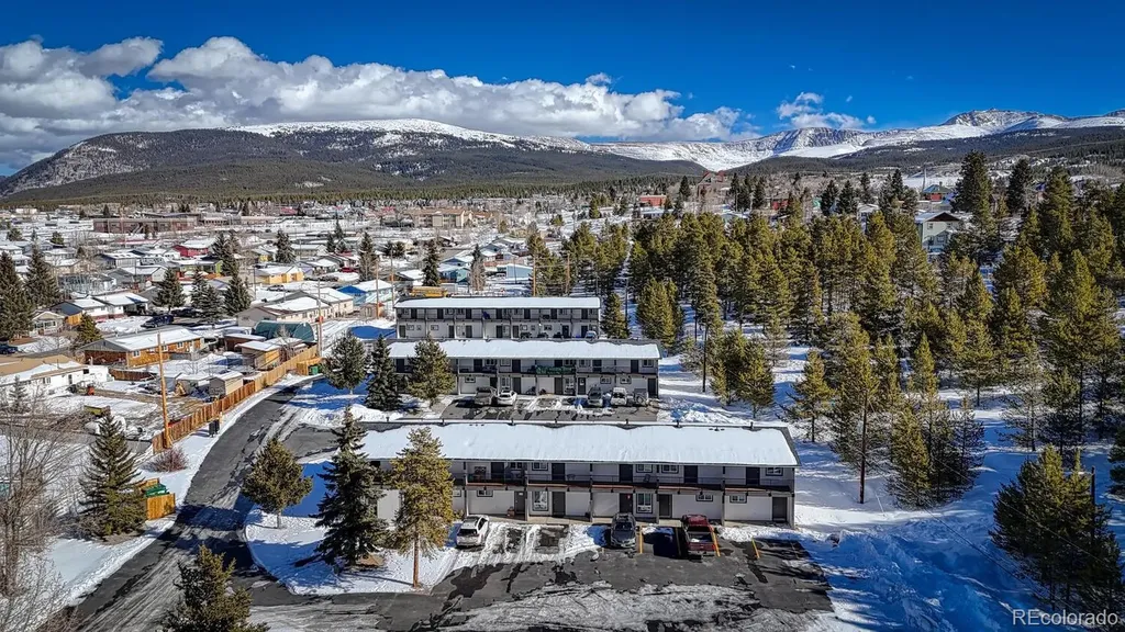921 Mt Massive Drive Leadville CO 80461