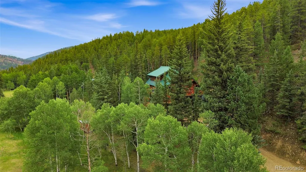 2668 Soda Creek Road Idaho Springs CO 80452