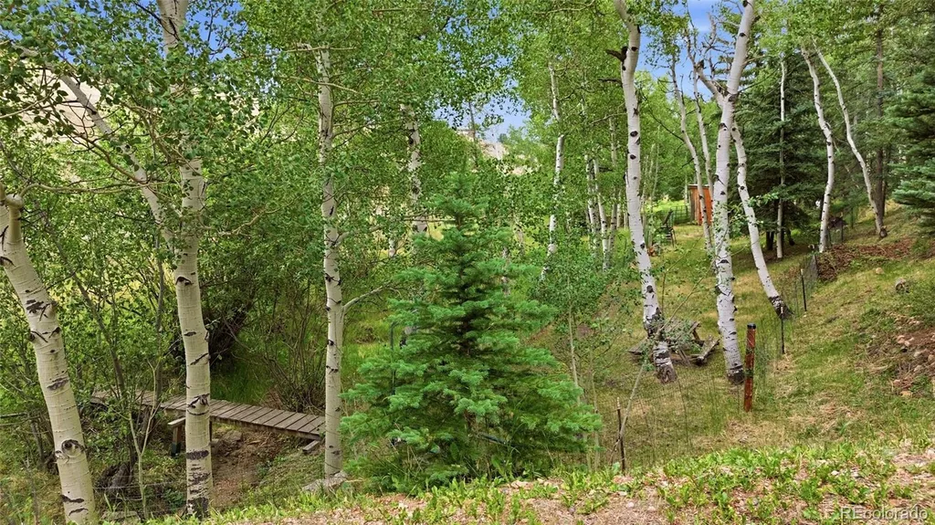 2668 Soda Creek Road Idaho Springs CO 80452