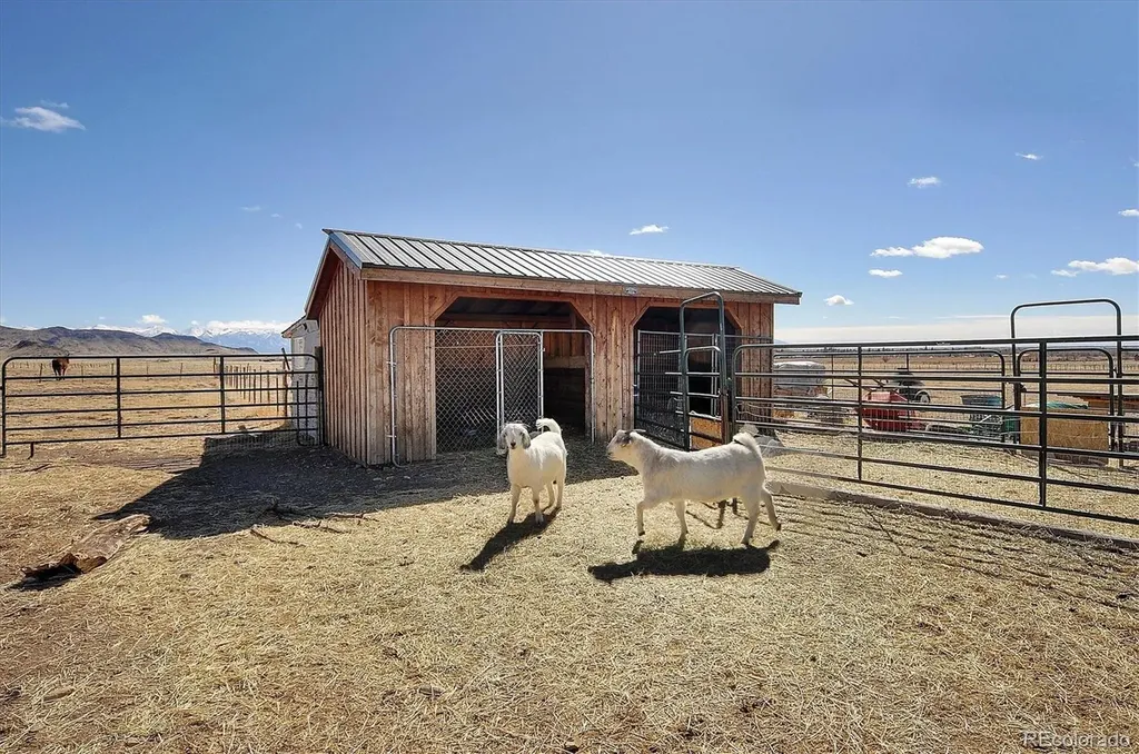 23802 Cr-46aa Saguache CO 81149