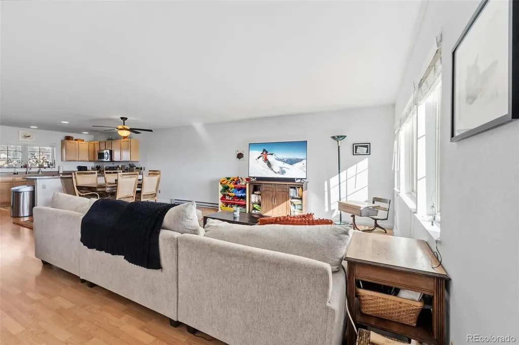 387 8th Street Fairplay CO 80440