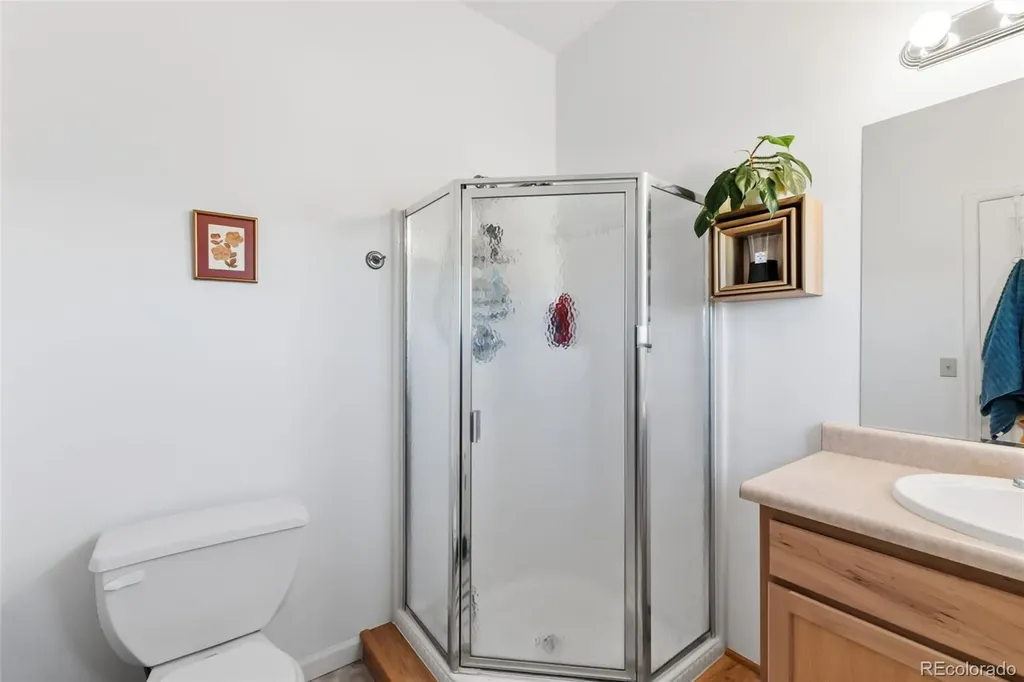 387 8th Street Fairplay CO 80440