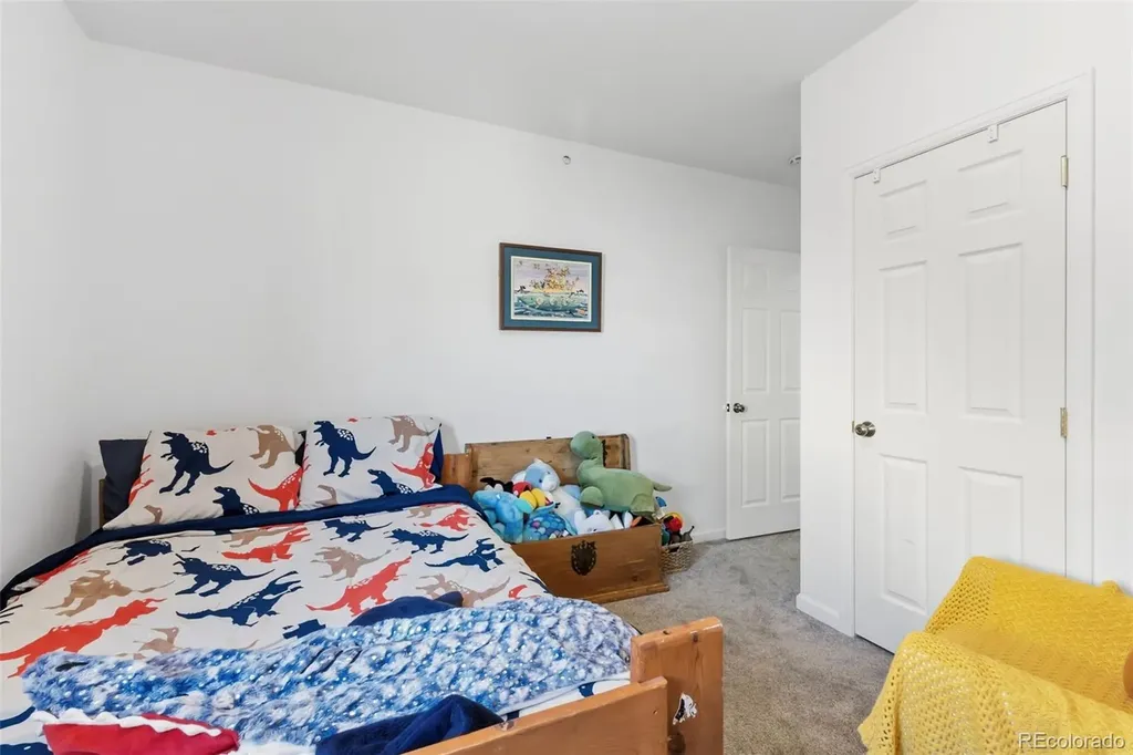 387 8th Street Fairplay CO 80440