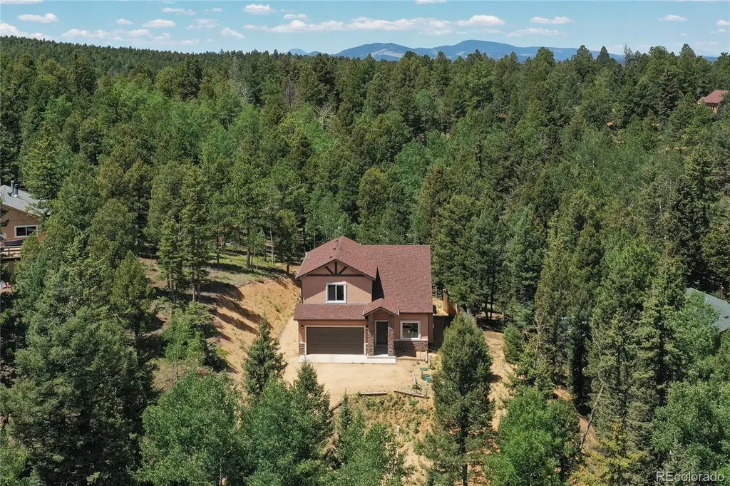 71 Mt Elbert Drive Florissant CO 80816