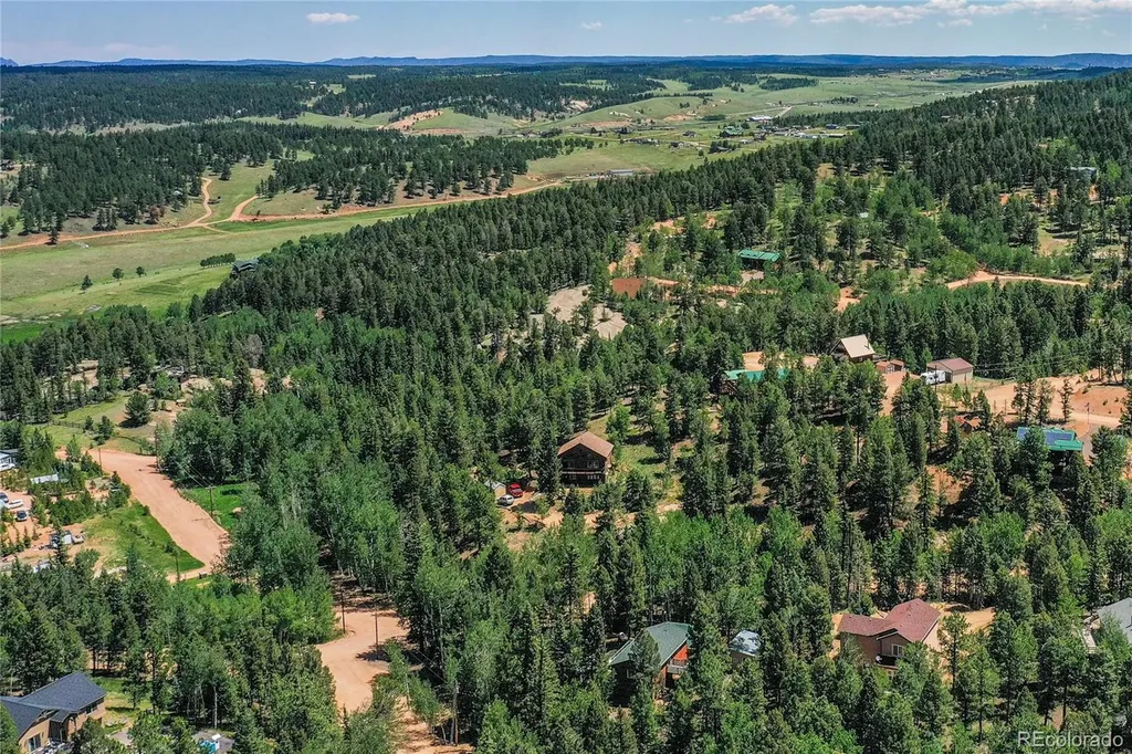 71 Mt Elbert Drive Florissant CO 80816