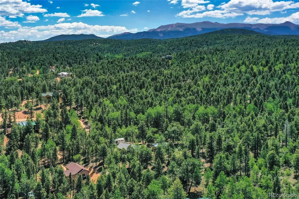 71 Mt Elbert Drive Florissant CO 80816