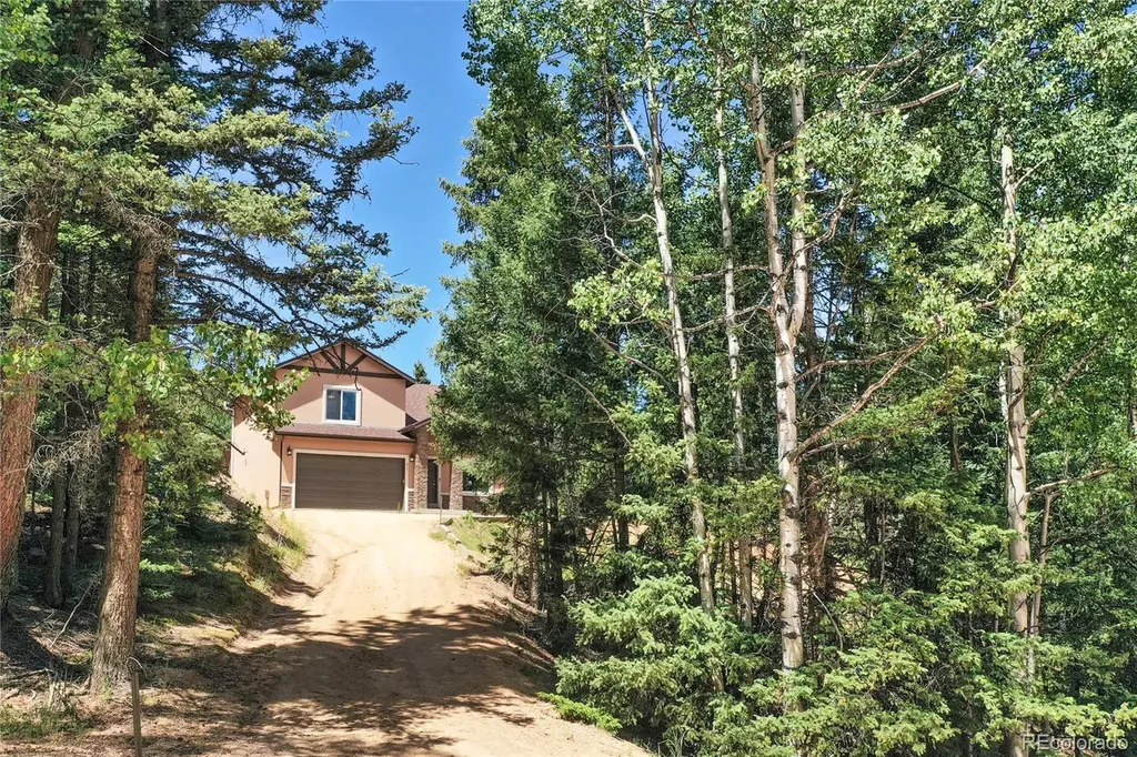 71 Mt Elbert Drive Florissant CO 80816