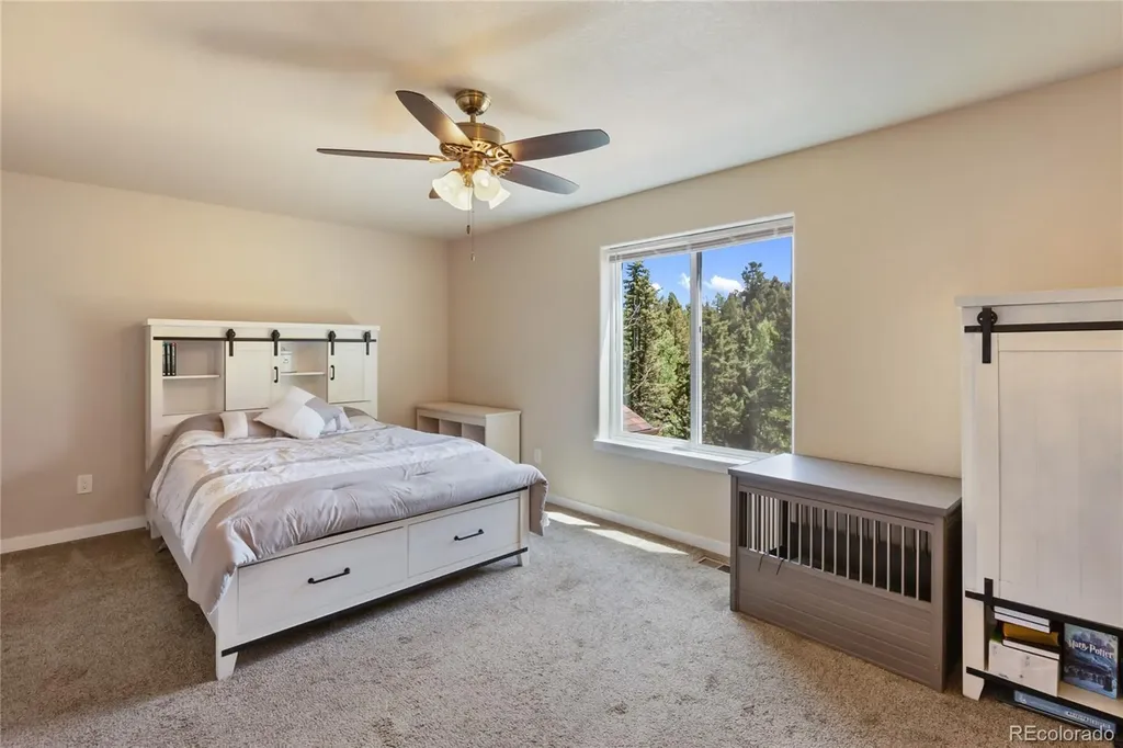 71 Mt Elbert Drive Florissant CO 80816