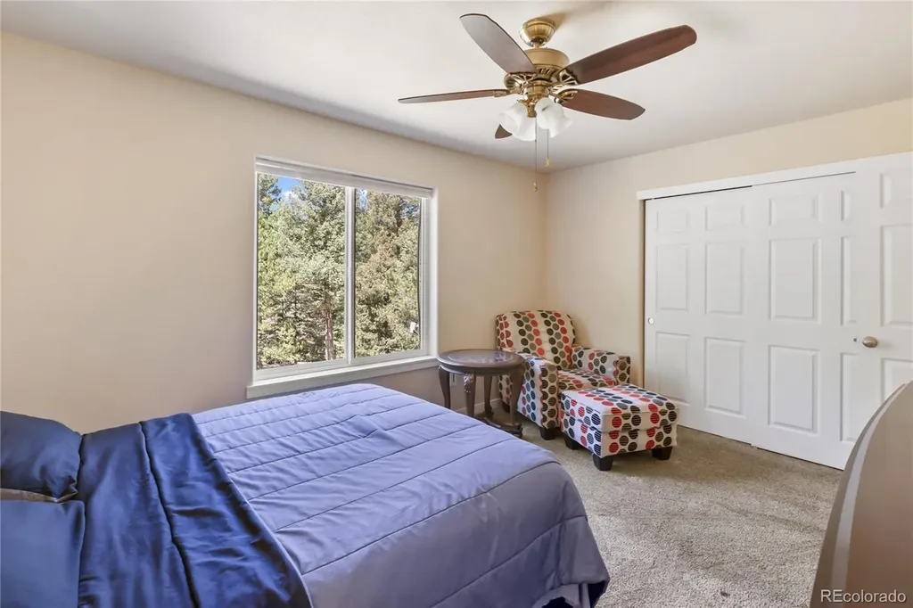 71 Mt Elbert Drive Florissant CO 80816