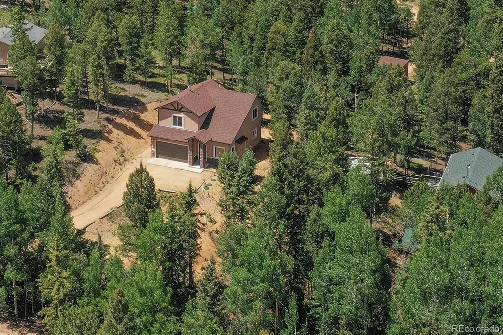 71 Mt Elbert Drive Florissant CO 80816