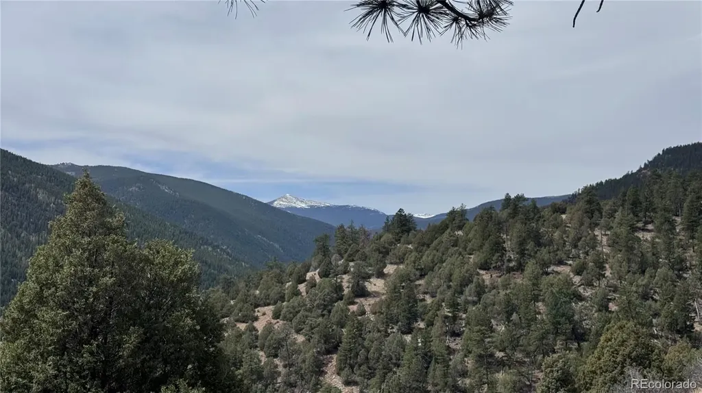 257 Wildlife Trail Idaho Springs CO 80452